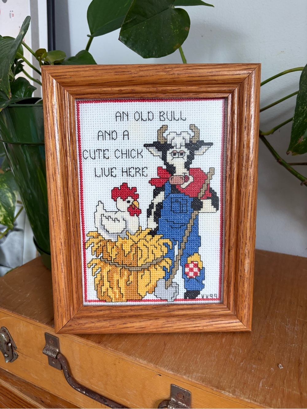 Handmade Vintage Cross Stitch wth Funny Saying